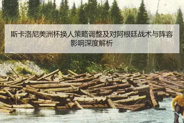 斯卡洛尼美洲杯换人策略调整及对阿根廷战术与阵容影响深度解析
